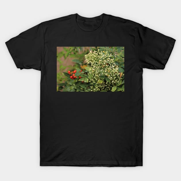 White Flowers Red Berries T-Shirt by ButterflyInTheAttic